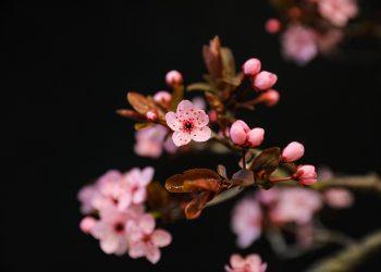 7 Natural Hacks to Lower Blood Sugar Fast