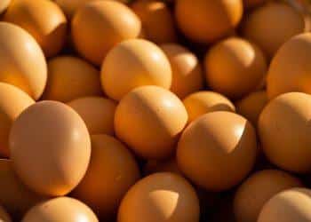 7 Natural High-Protein Foods You Need in Your Diet Today