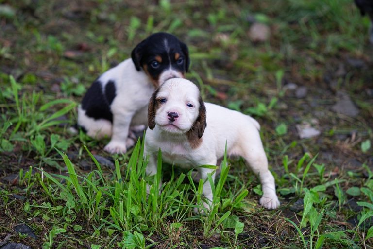 7 Natural Incontinence Help Tips You Must Try Today!