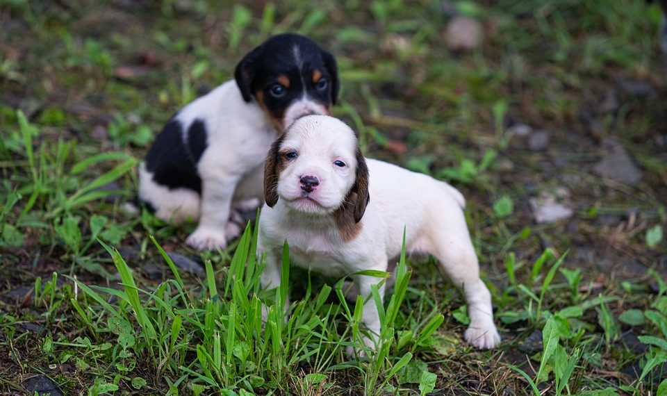 7 Natural Incontinence Help Tips You Must Try Today!