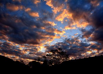 7 Natural Remedies for Anti-Inflammatory Healing