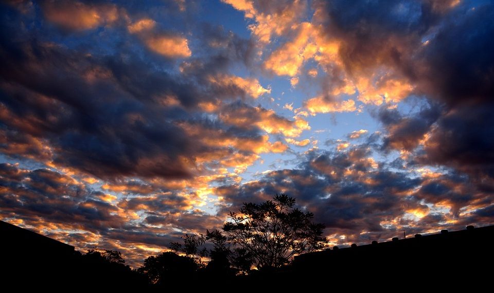 7 Natural Remedies for Anti-Inflammatory Healing