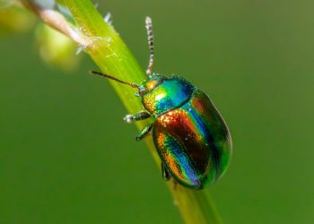 7 Natural Remedies for Effortless Bladder Control