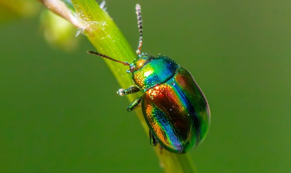 7 Natural Remedies for Effortless Bladder Control