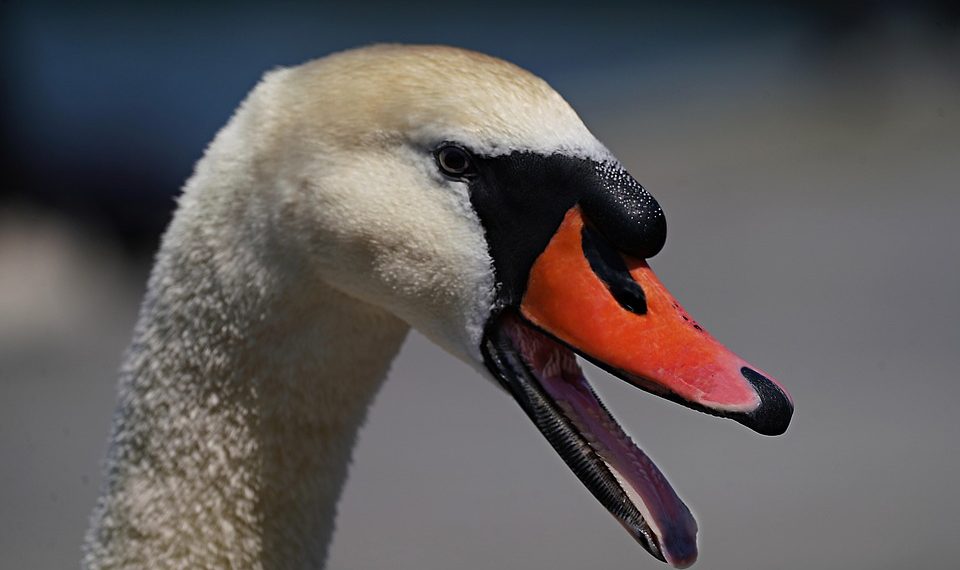 7 Natural Remedies for Incontinence Relief Today