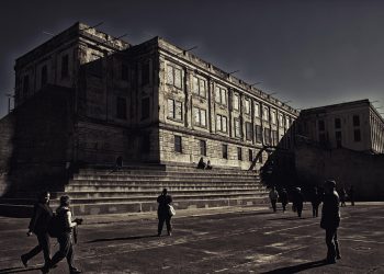 7 Natural Remedies to Boost Urinary Tract Health