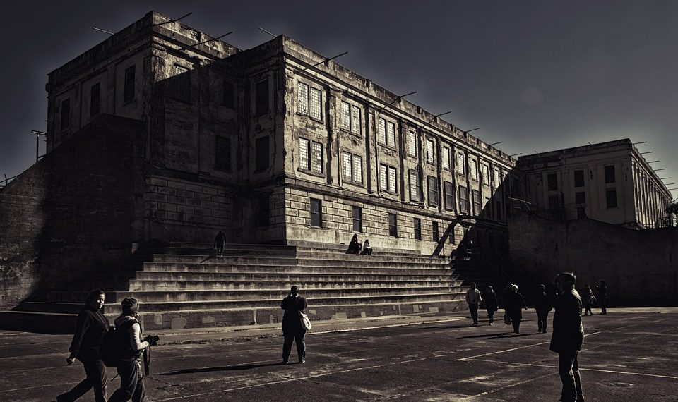 7 Natural Remedies to Boost Urinary Tract Health