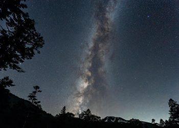 7 Natural Remedies to Boost Your Digestion Fast