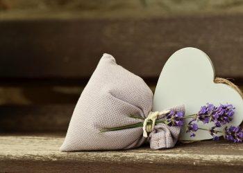 7 Natural Remedies to Boost Your Immune System Today