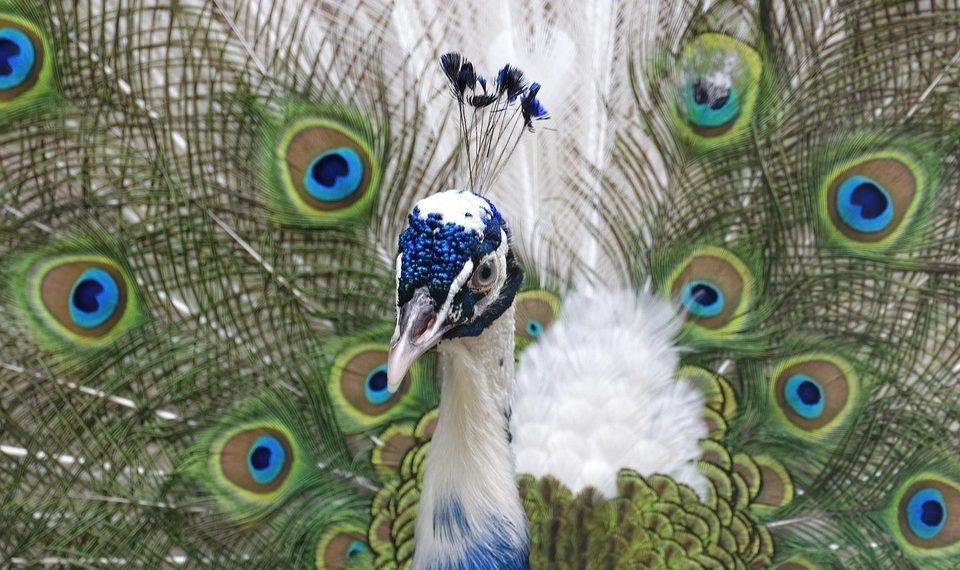 7 Natural Secrets to Slow Down Aging Effectively