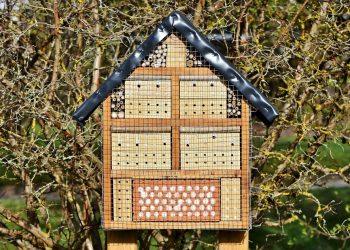 7 Natural Sleep Aids You Need for Restful Nights