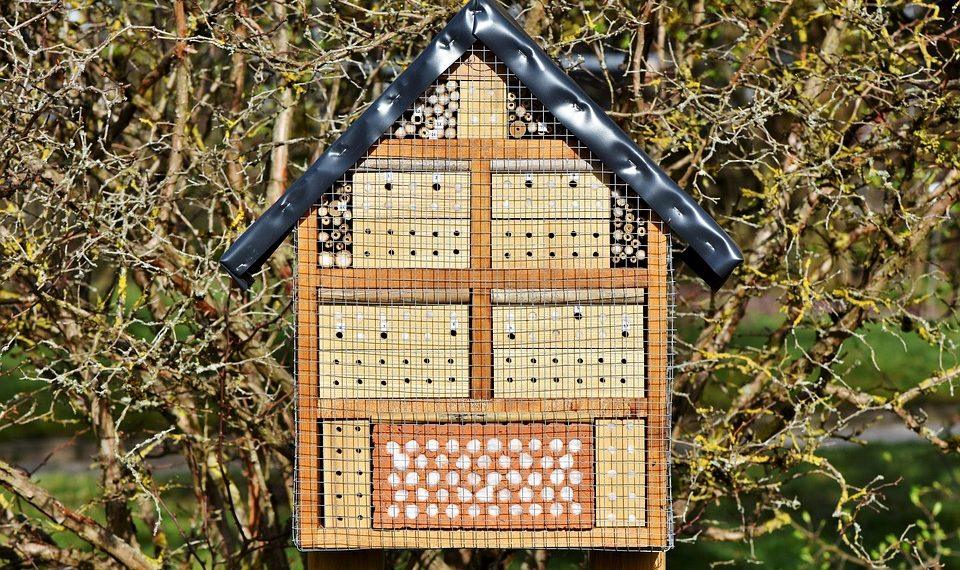 7 Natural Sleep Aids You Need for Restful Nights