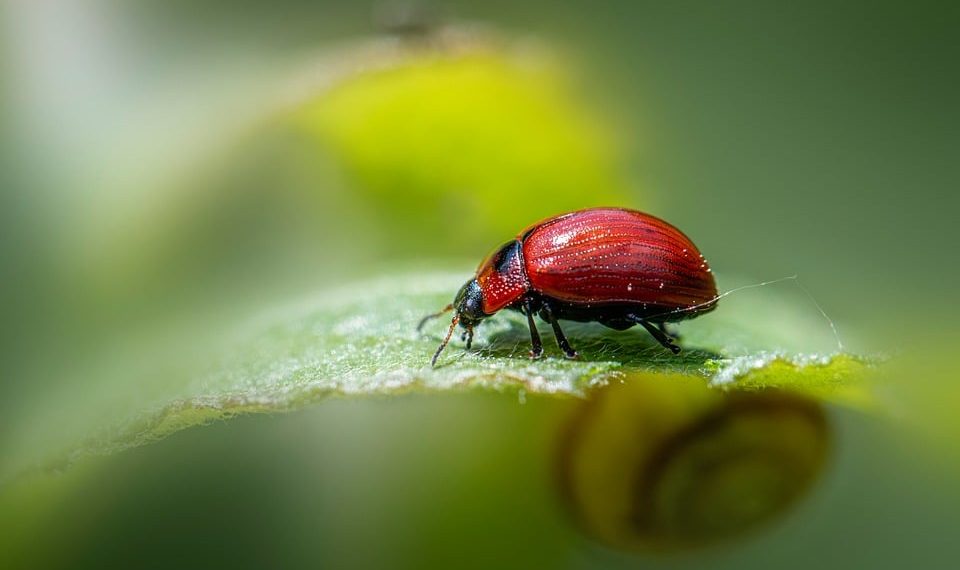 7 Natural Supplements to Boost Your Focus Fast