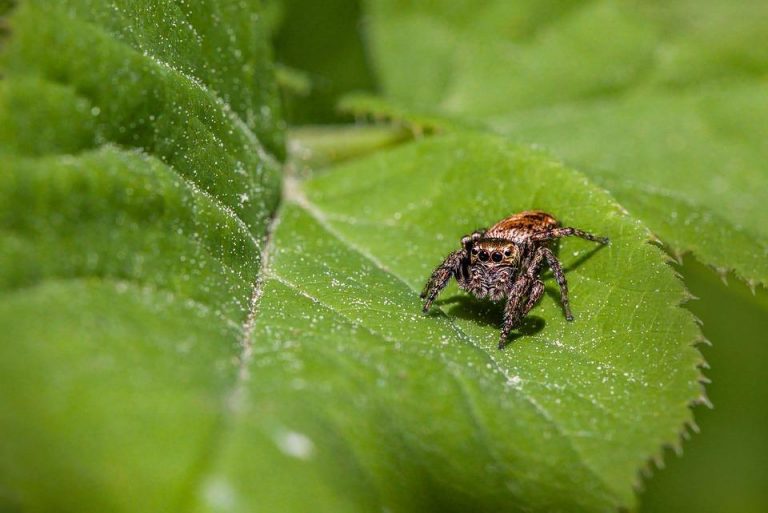 7 Natural Tricks to Tame Your Appetite Today