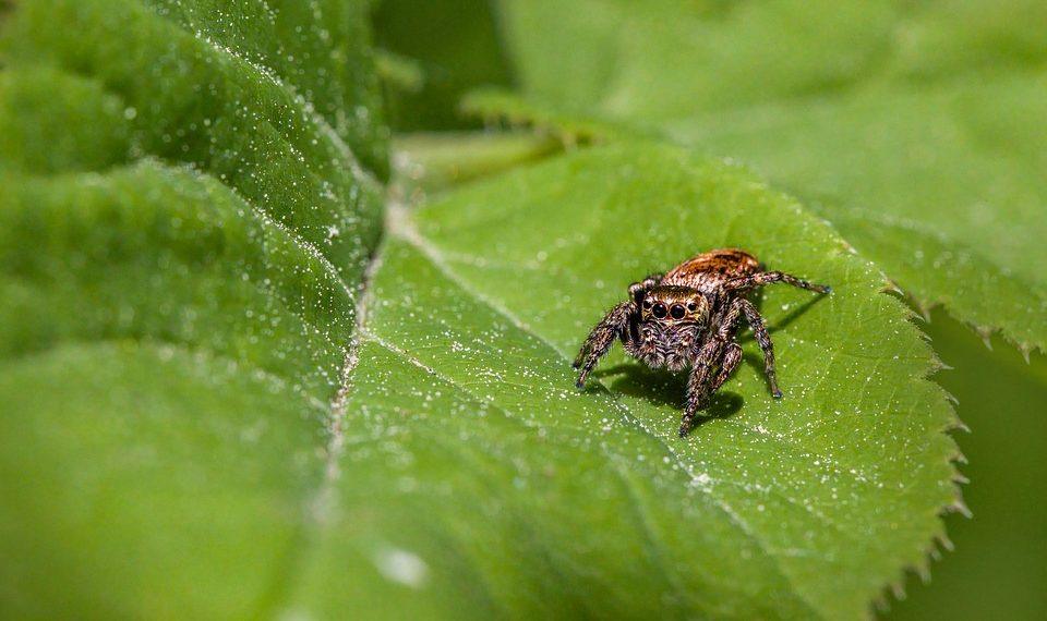 7 Natural Tricks to Tame Your Appetite Today