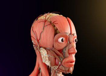 7 Natural Ways to Boost Your Nervous System Health