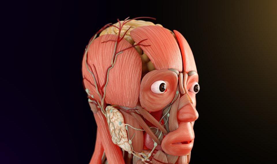 7 Natural Ways to Boost Your Nervous System Health