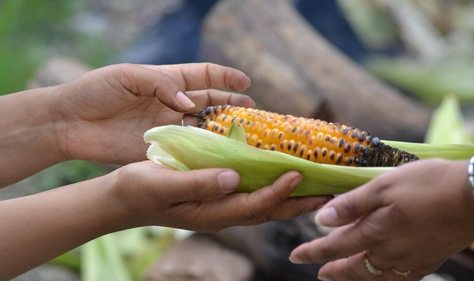 7 Organic Sleep Aids for Restful Nights Ahead