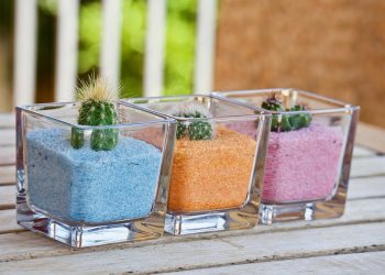 7 Plant-Based Foods That Torch Fat Fast