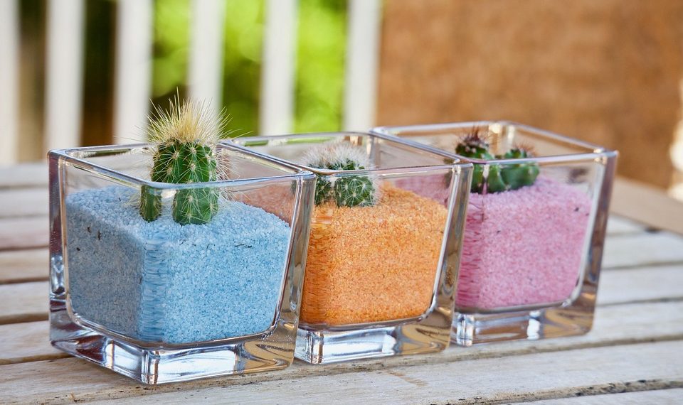 7 Plant-Based Foods That Torch Fat Fast