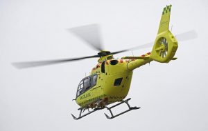 7 Plant-Based Sleep Aids for Restful Nights