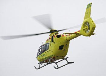 7 Plant-Based Sleep Aids for Restful Nights