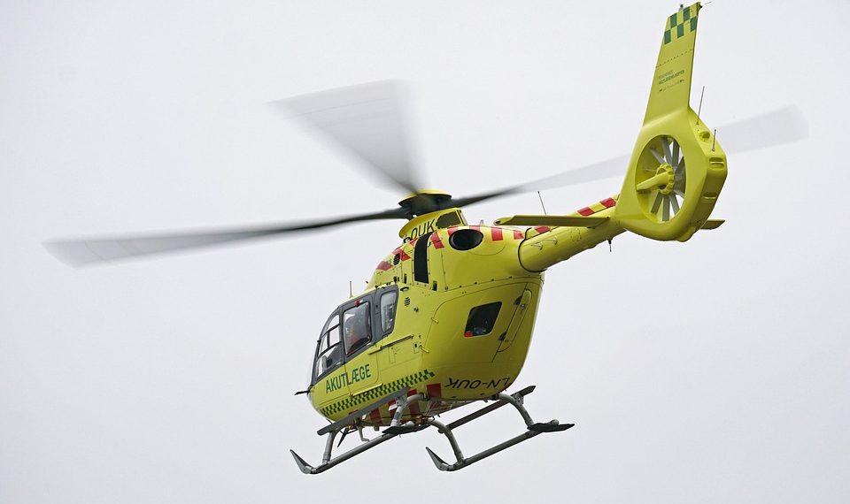 7 Plant-Based Sleep Aids for Restful Nights