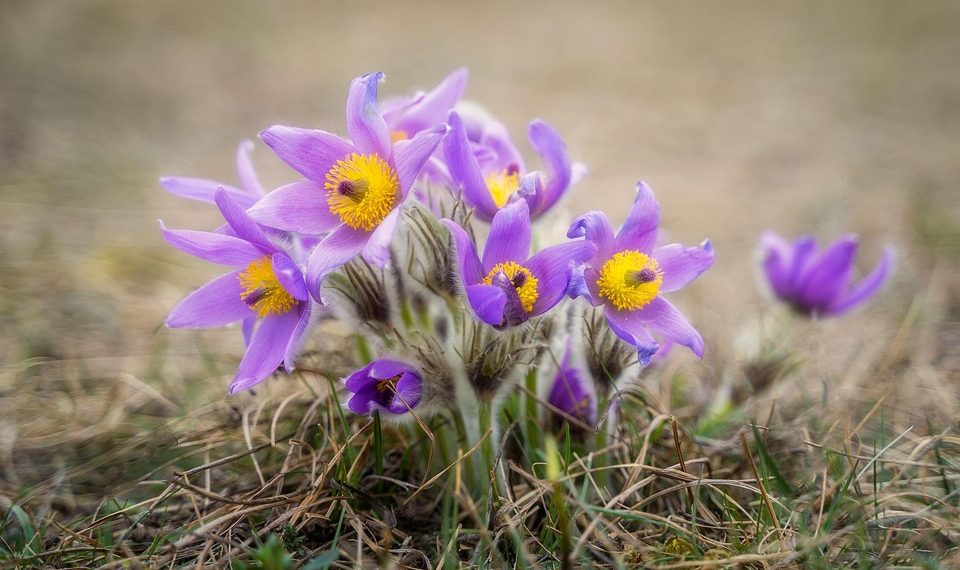 7 Powerful Foods to Naturally Lower Blood Sugar Today