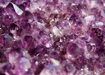 7 Powerful Herbs That Transform Your Health Naturally