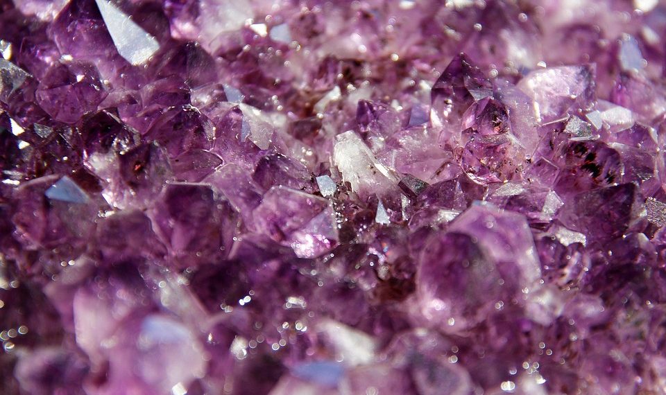 7 Powerful Herbs That Transform Your Health Naturally