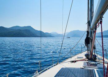 7 Powerful Herbs for Better Sleep Tonight