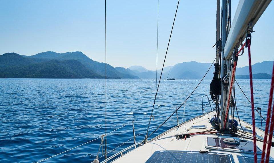 7 Powerful Herbs for Better Sleep Tonight