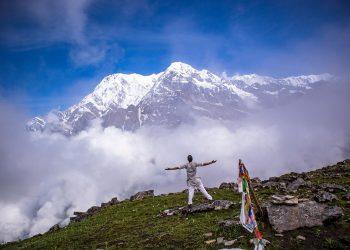 7 Powerful Herbs for Natural Healing You Need to Try