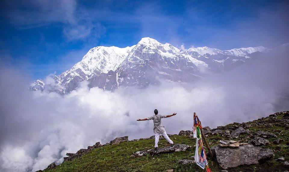 7 Powerful Herbs for Natural Healing You Need to Try