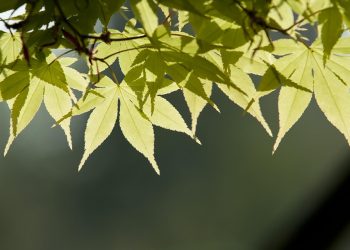 7 Powerful Steps to Start Your Emotional Healing Journey