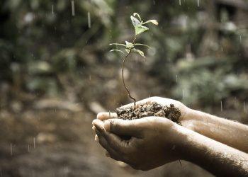 7 Proven Strategies to Tackle Anxiety Today