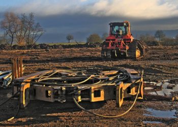 7 Proven Ways to Boost NAD Levels Naturally