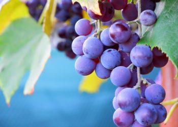 7 Proven Ways to Boost Your NAD Levels Naturally