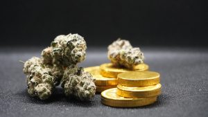 7 Reasons Collagen for Joints is a Game Changer