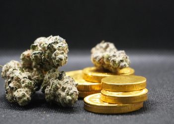 7 Reasons Collagen for Joints is a Game Changer