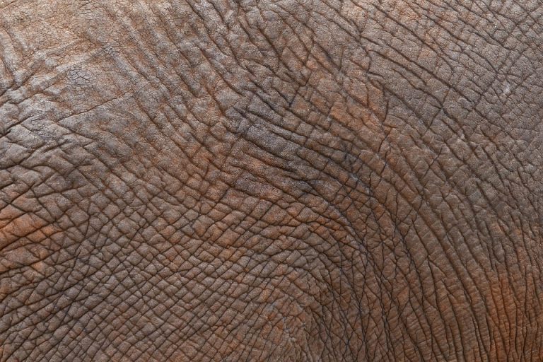 7 Reasons Collagen for Skin Is Your Secret Weapon