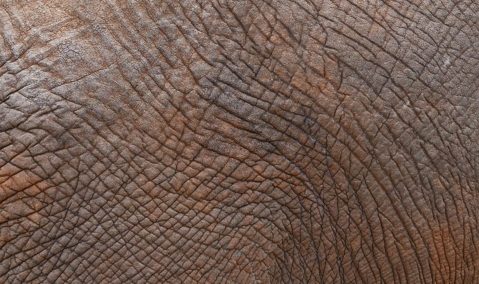 7 Reasons Collagen for Skin Is Your Secret Weapon