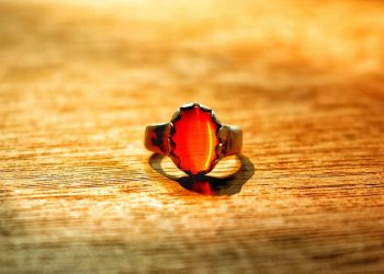 7 Reasons Every Man Should Try Moringa Today!