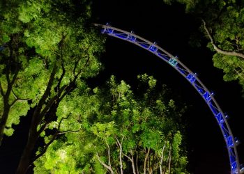 7 Reasons Herbal Night Formula Will Transform Your Sleep