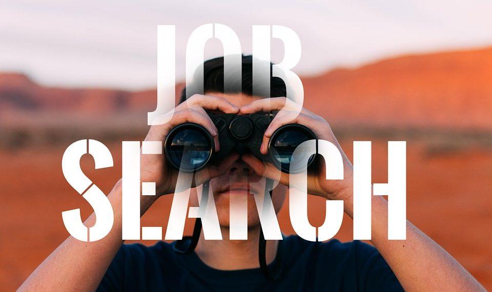 7 Reasons Moringa Boosts Your Metabolism Naturally