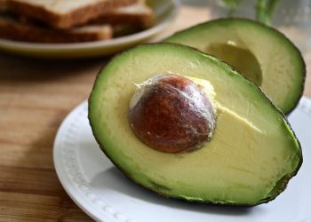 7 Reasons Moringa Green Superfood Will Change Your Health