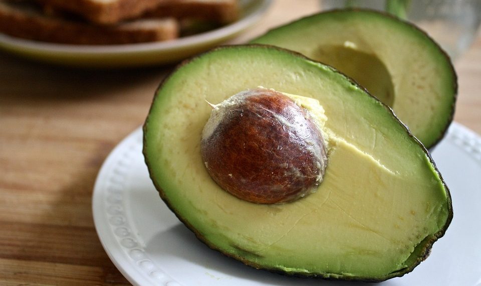 7 Reasons Moringa Green Superfood Will Change Your Health