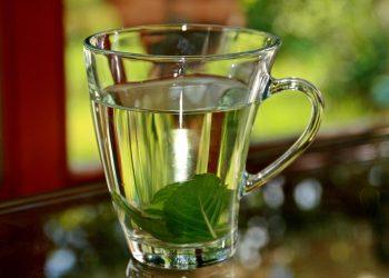 7 Reasons Peppermint Tea Eases Your Headaches Fast
