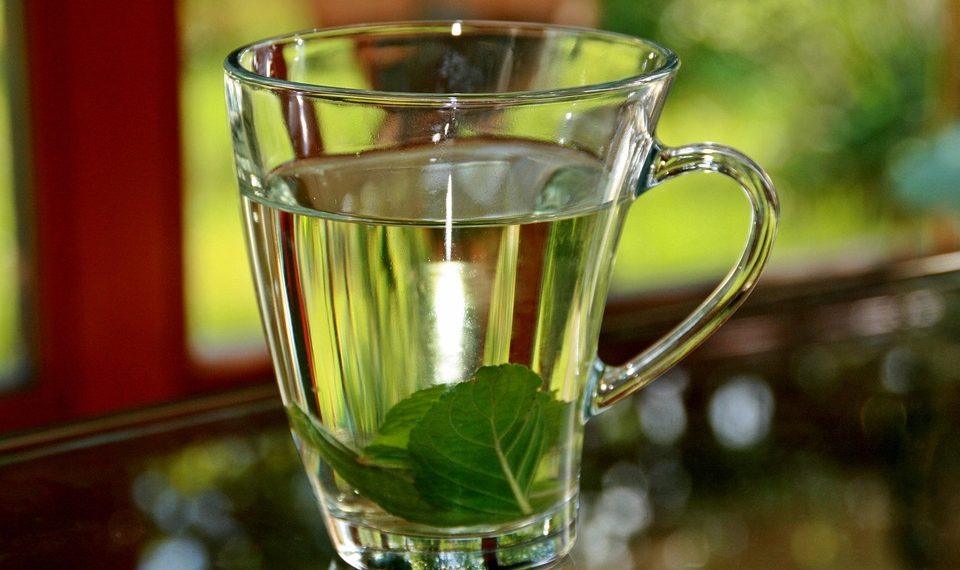 7 Reasons Peppermint Tea Eases Your Headaches Fast