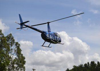 7 Reasons Valerian Root Eases Anxiety Naturally